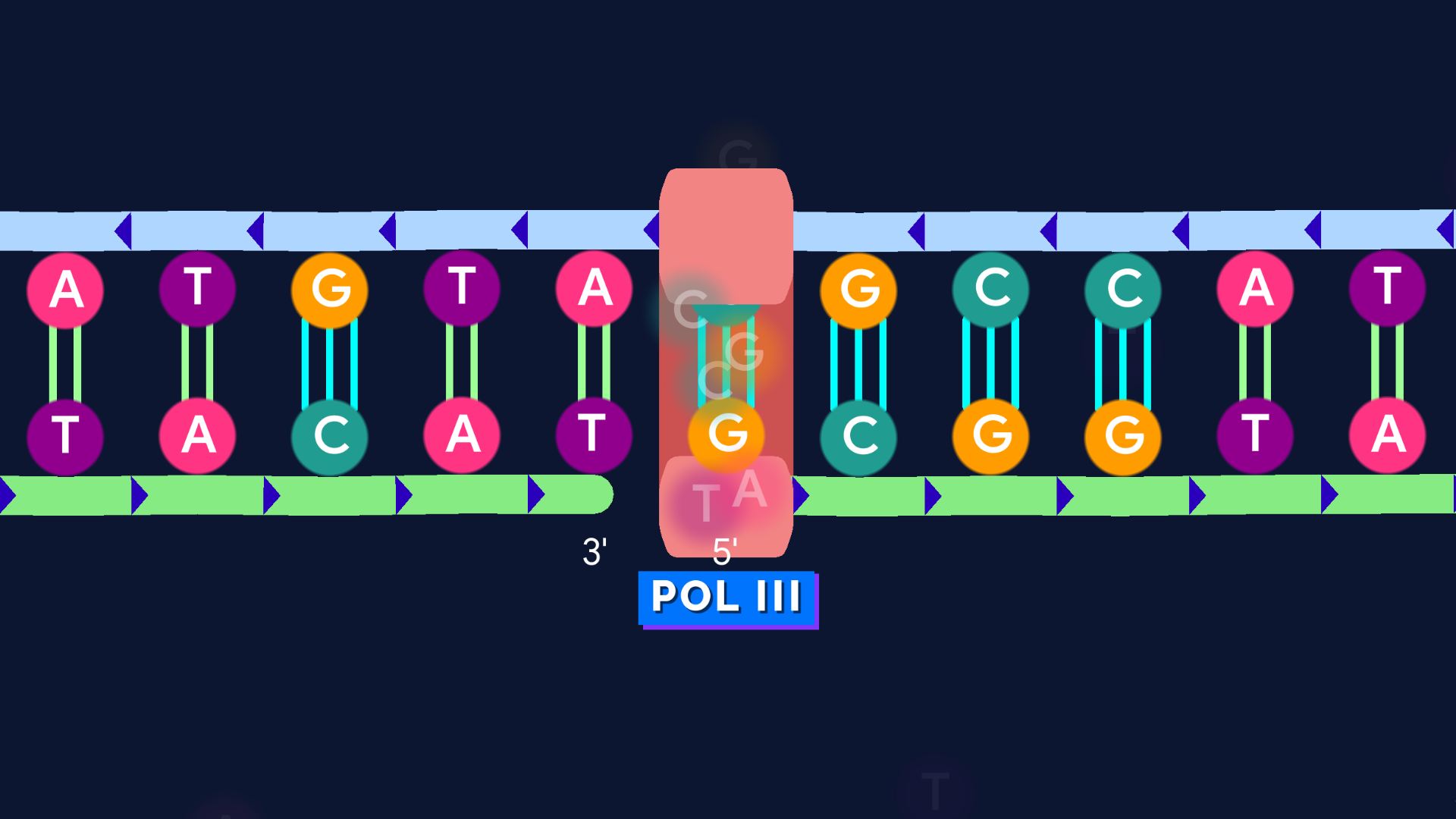 Carousel image C.png