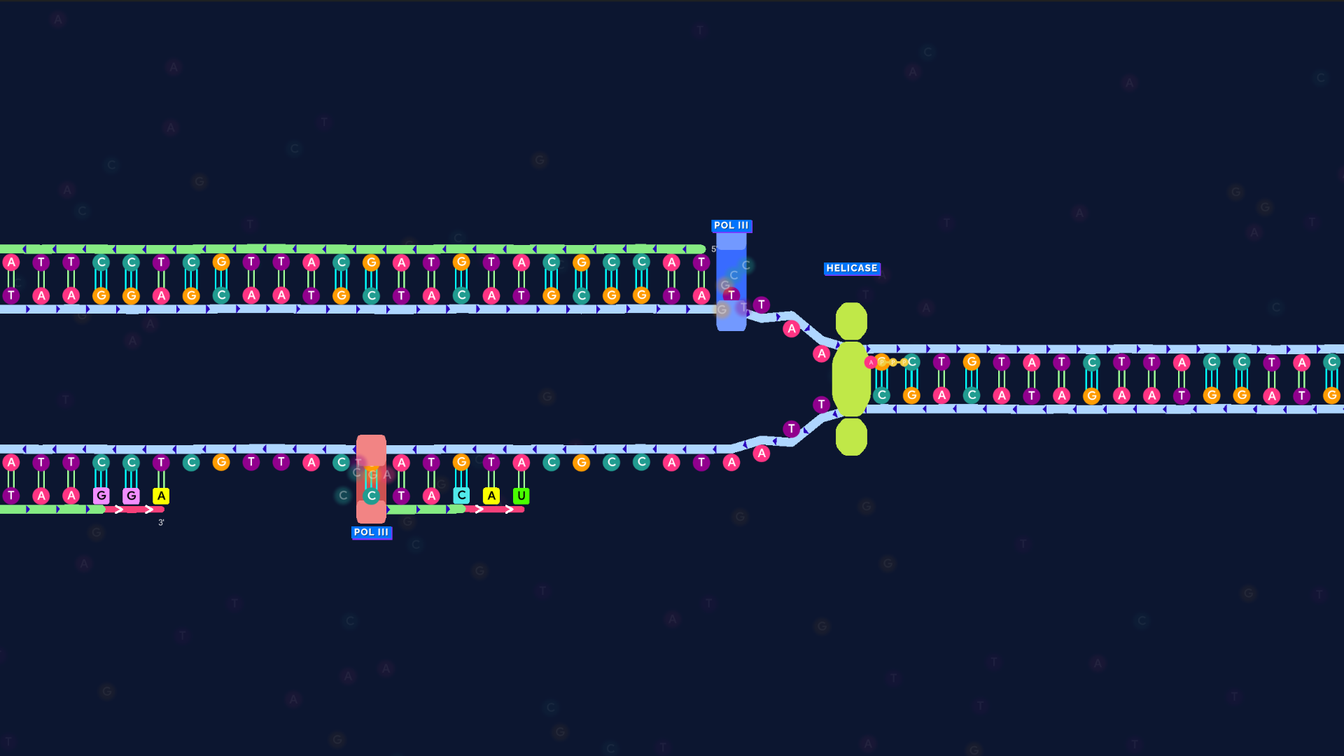 Carousel image D.png